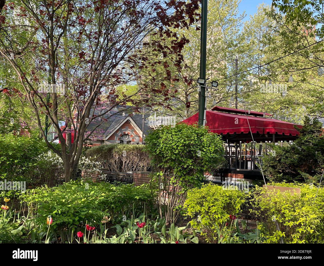 Spring blossoms framing Tavern on the Green - Smartphone Captured Stock Image