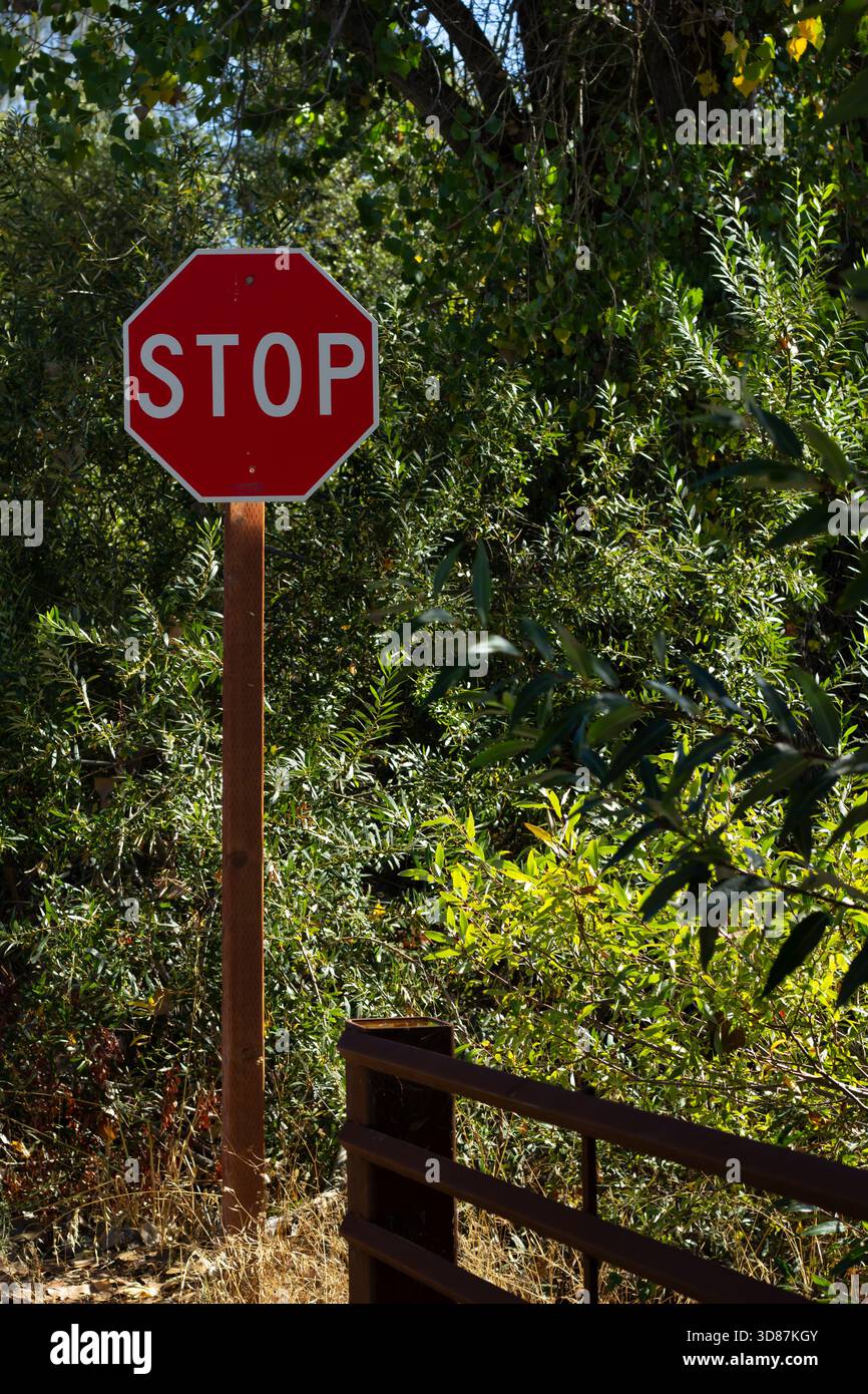 A red stop sign is prominently displayed in a lush green area ...