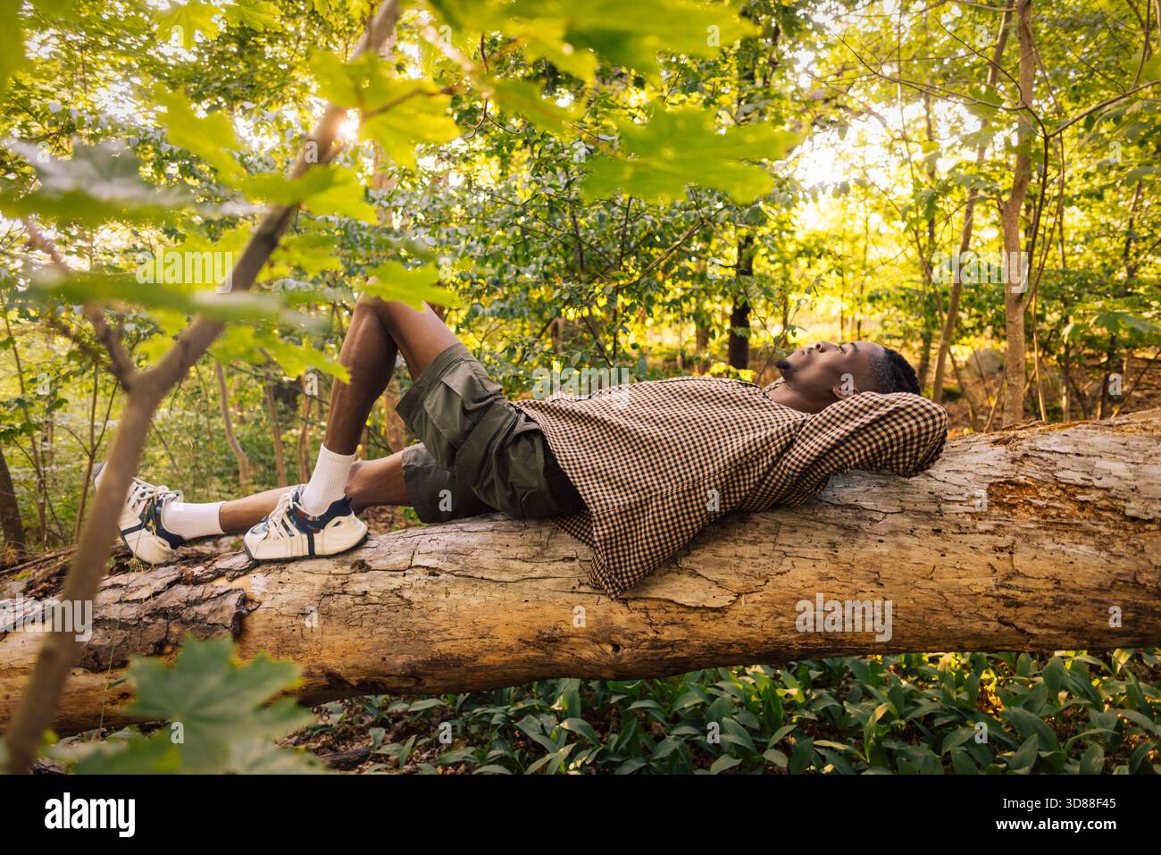 Full length of man lying on tree trunk in forest Stock Photo