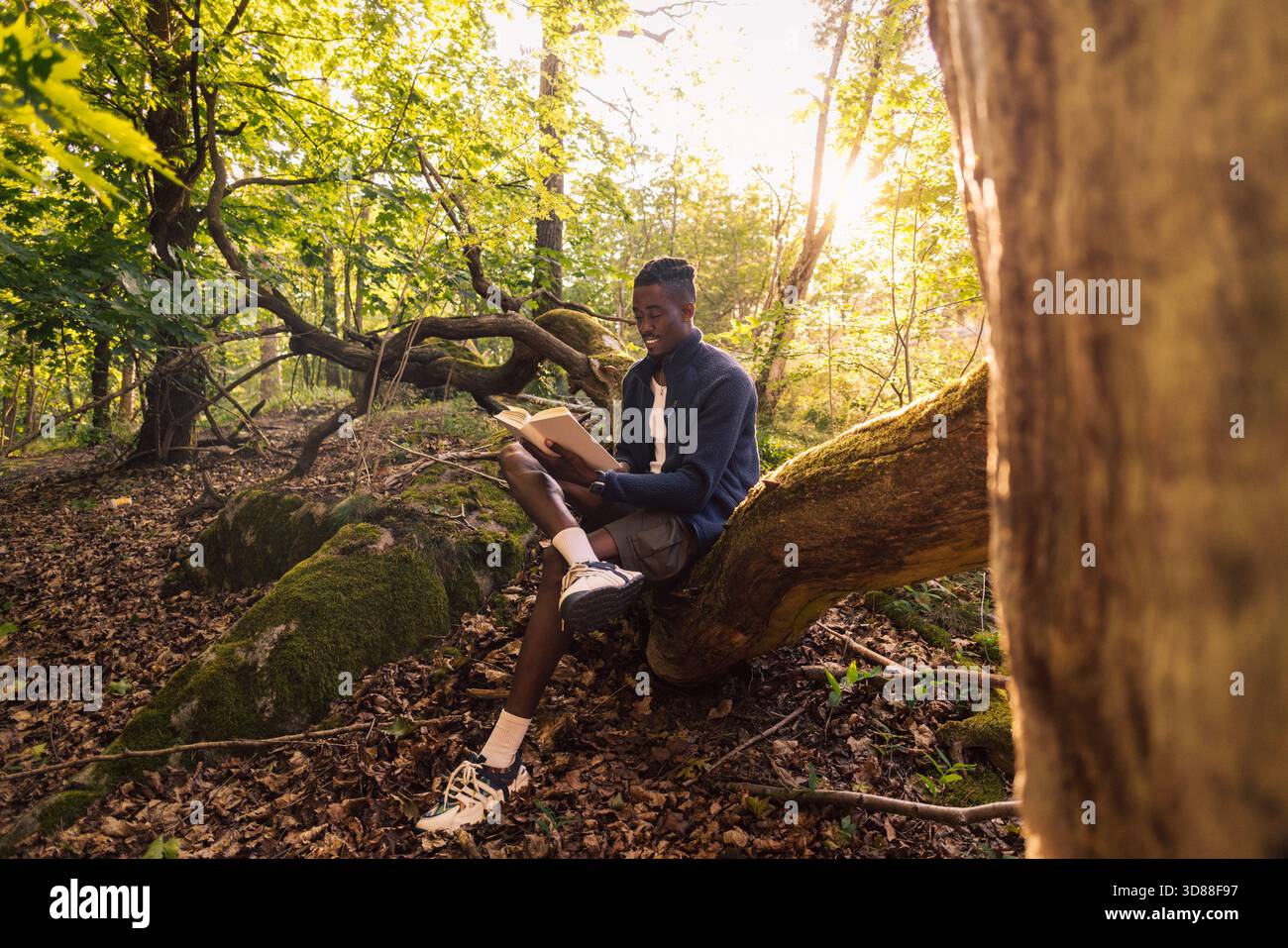 Man reading book while sitting on tree trunk in forest Stock Photo