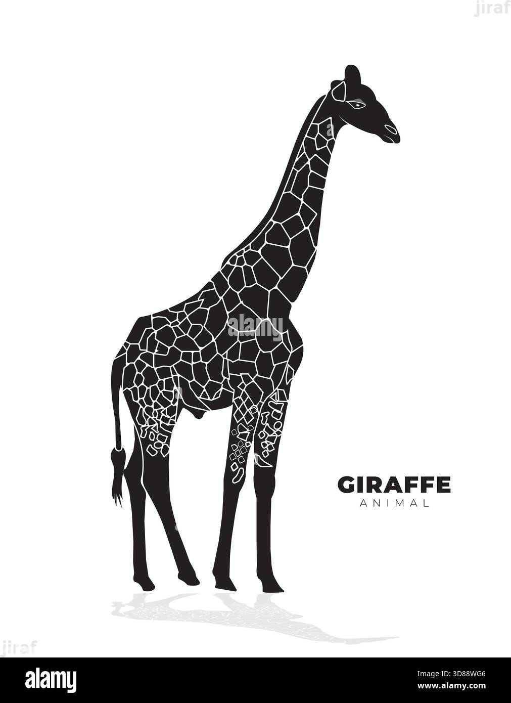 A  giraffe standing, isolated on white background. Stock Vector