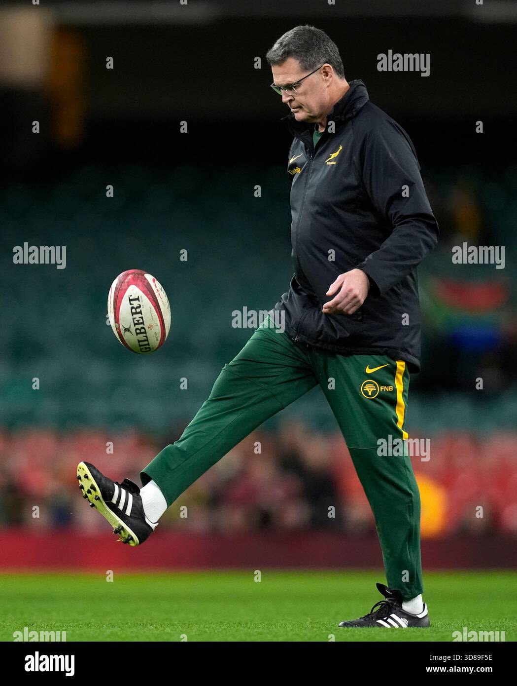 South Africa head coach Rassie Erasmus ahead of the Quilter Nations ...