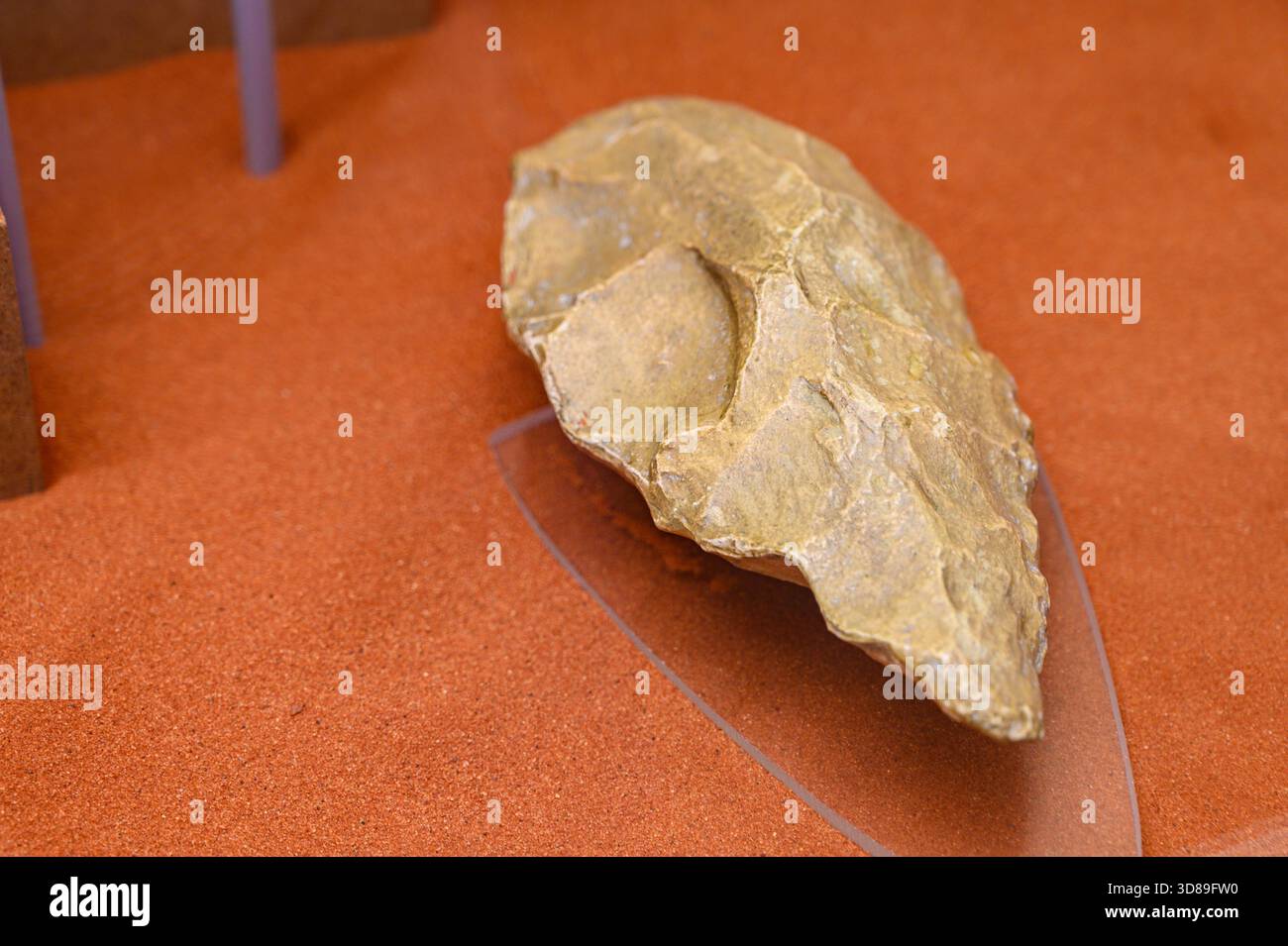 Tool attributed to Homo erectus. - Stock Image