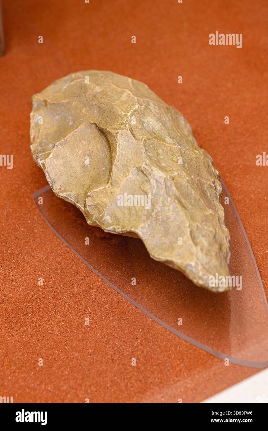 Tool attributed to Homo erectus. - Stock Image