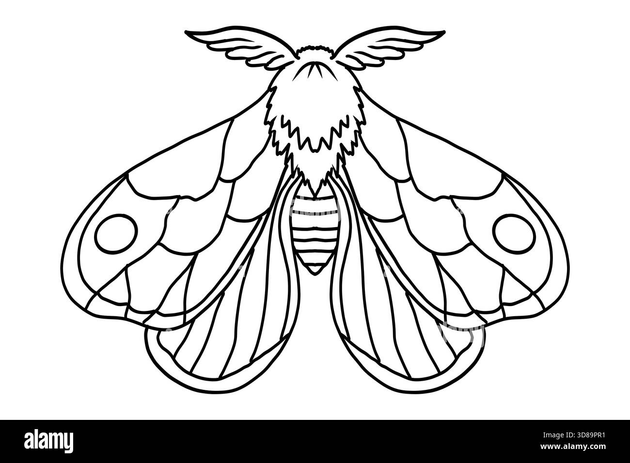 Mystical moth hi-res stock photography and images - Alamy