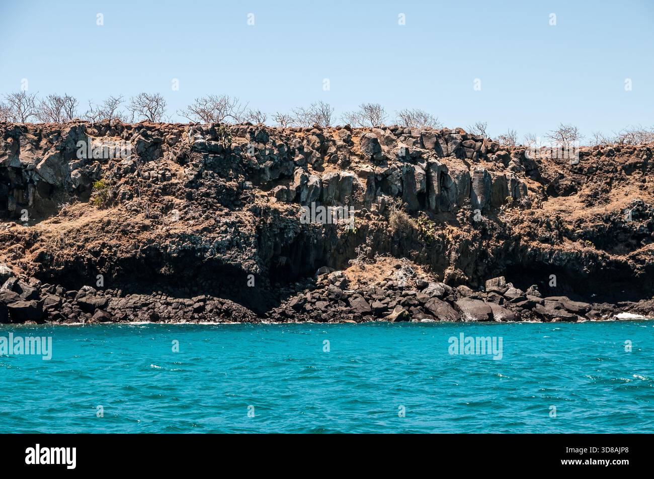 Rock formations, North Seymour, Galapagos Islands, Ecuador Stock Photo ...