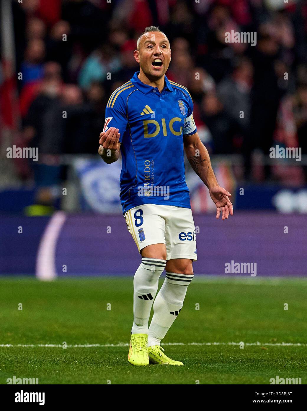 The Path to Stardom and Premier League Success