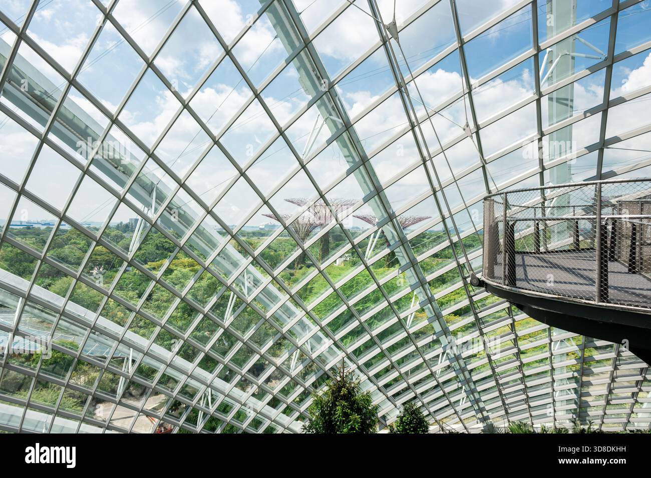 Forest View Panel A panoramic view from inside the Cloud Forest at Gardens by the Bay ...