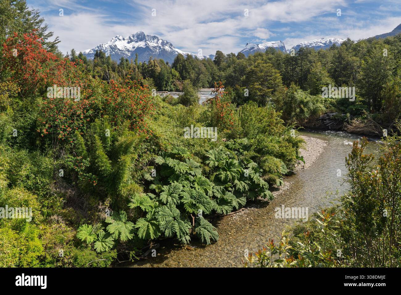 Pumalin douglas tompkins national park hi-res stock photography and ...