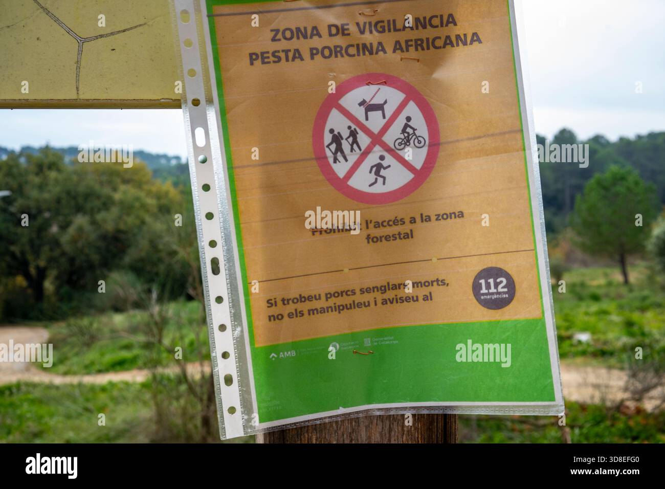 Virus de la peste porcina africana hi-res stock photography and images ...