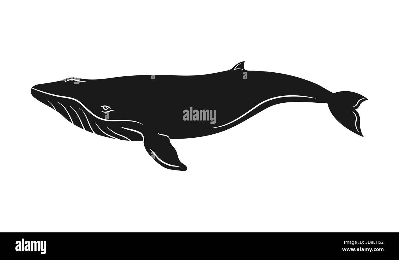 Whale silhouette isolated on white background. Vector illustration ...