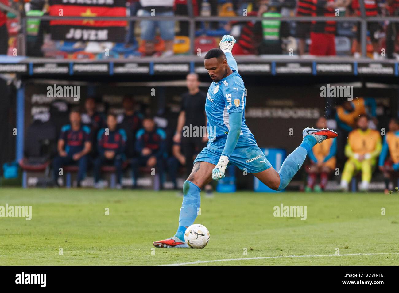 Lima, Peru - November 29: Goalkeeper Mateus Oliveira of Palmeiras ...