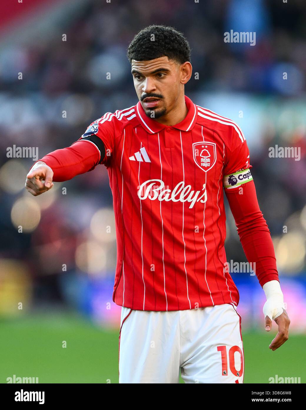 Nottingham Forest 0 Brighton 2: Sean Dyche's mini-revival comes to abrupt end as Seagulls cruise to victory
