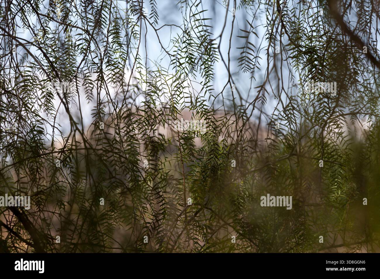 Cacaxtla Archaeological site, at Tlaxcala, Mexico Stock Photo - Alamy