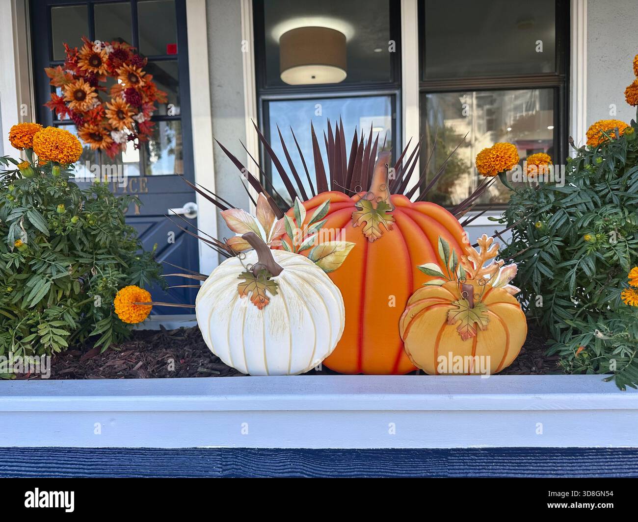 Fall Porch Display with Pumpkins and Marigold Flowers - Smartphone Captured Stock Image