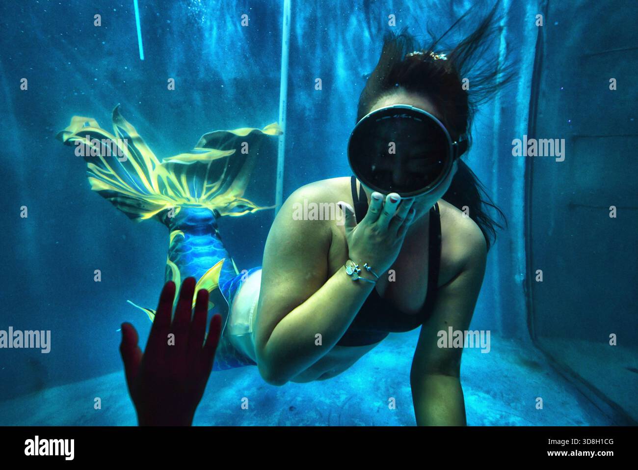 Mermaid Inheaker A performer dressed as a mermaid performs in water tank during a ...