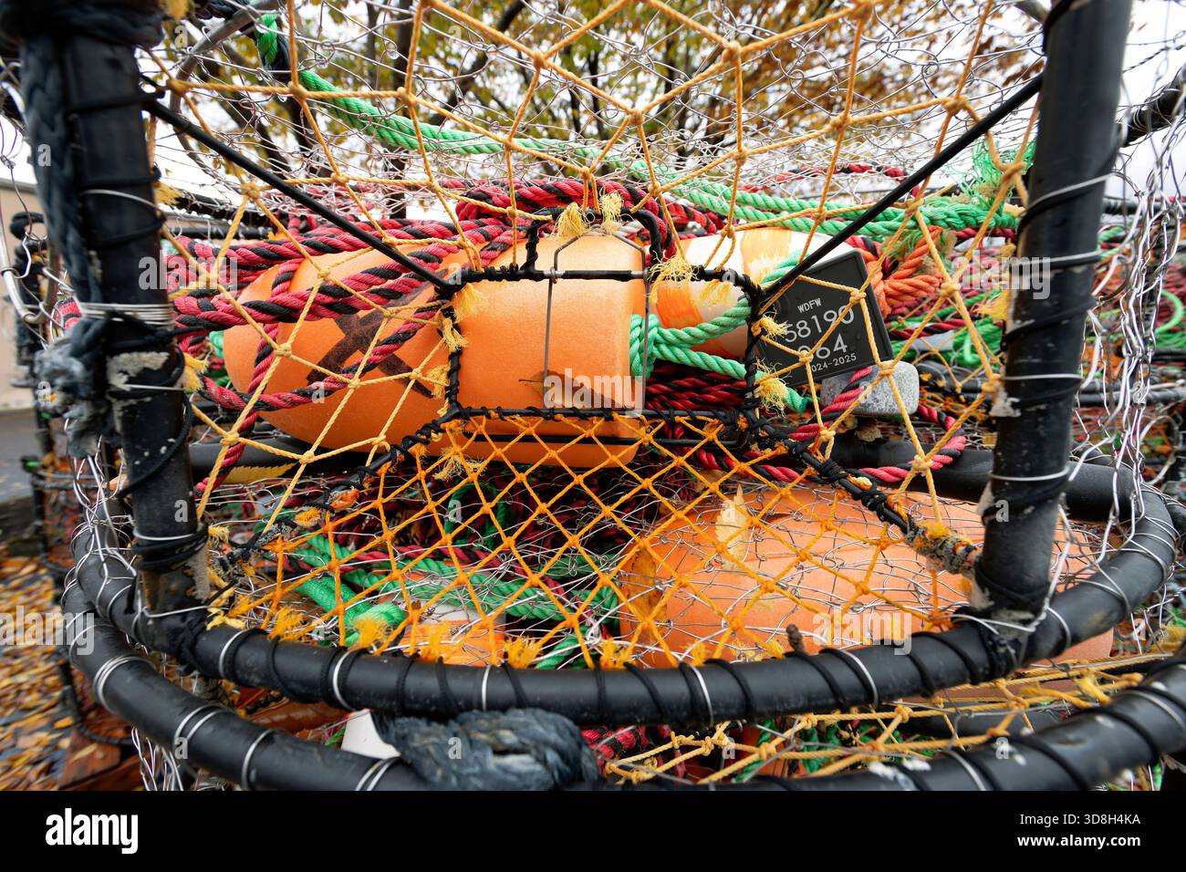 USA, Washington State, Bellingham. Crab pots stacked. Stock Photo