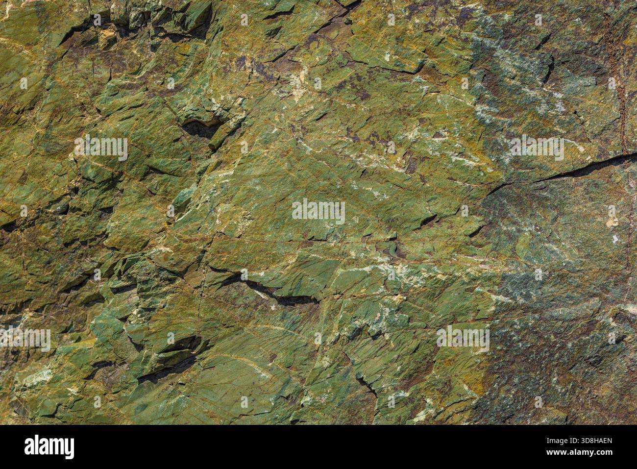 Metamorphic Rocks View Detailed view of a weathered metamorphic rock face showing various ...