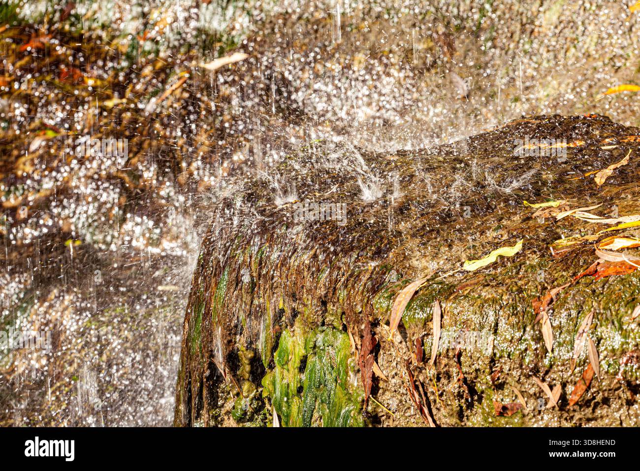 Moss-Covered Rock with Waterfall. A small waterfall trickles over moss-covered rocks into a shallow pool. Lush greenery and fern leaves frame the Stock Photo