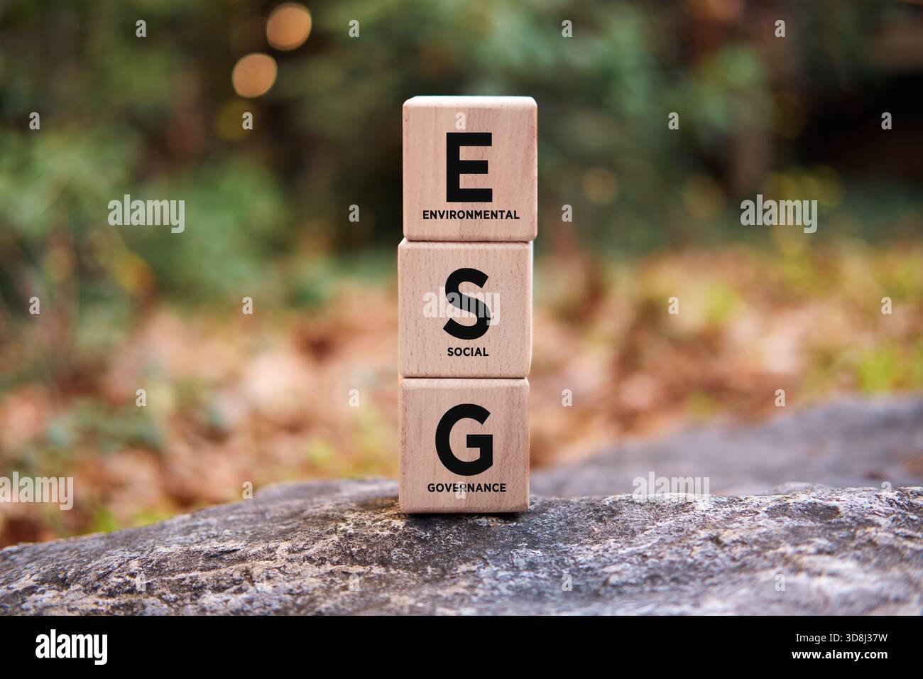 Wooden blocks spelling out ESG on a stone with nature background ...