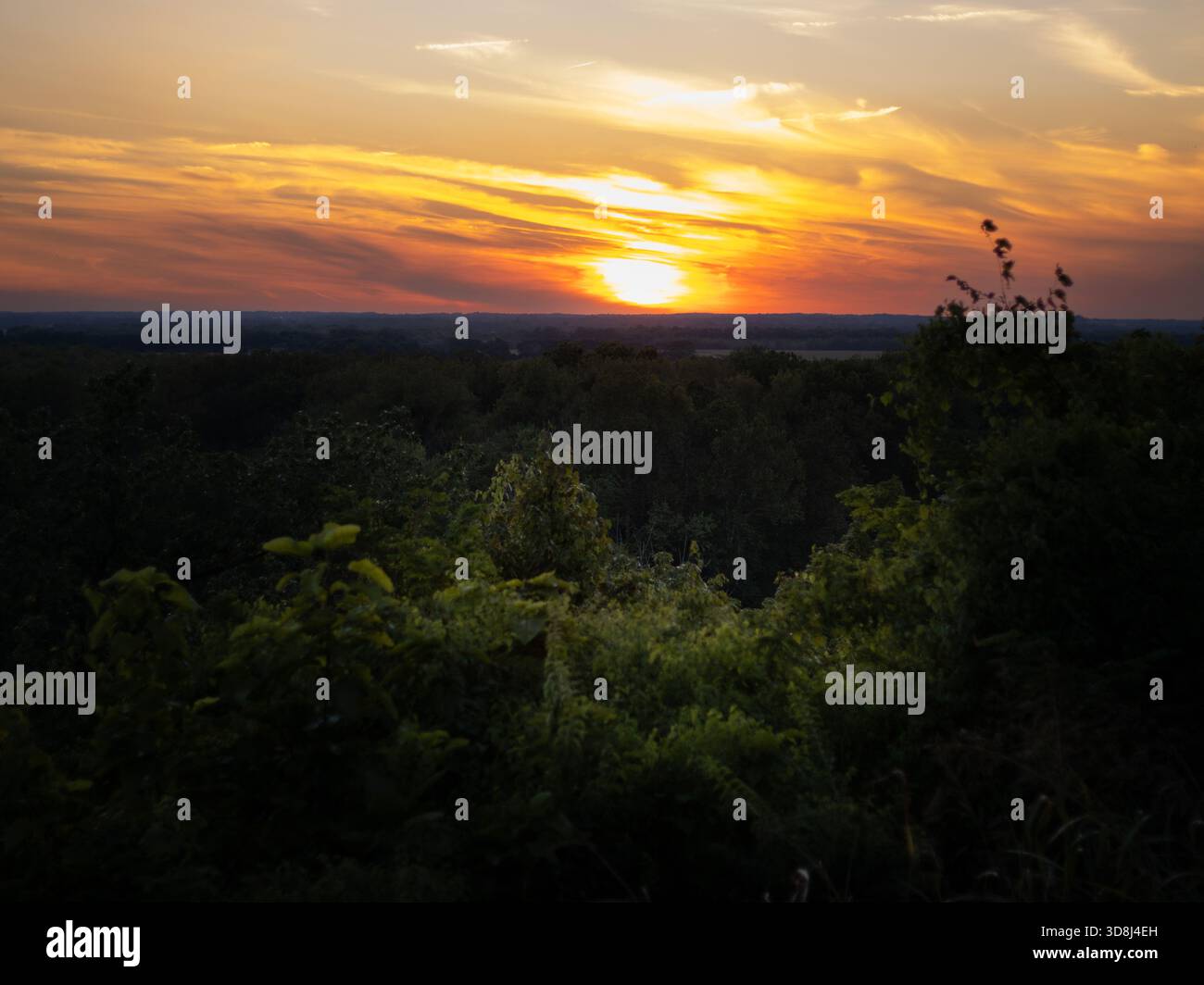 Golden hour sky hi-res stock photography and images - Alamy