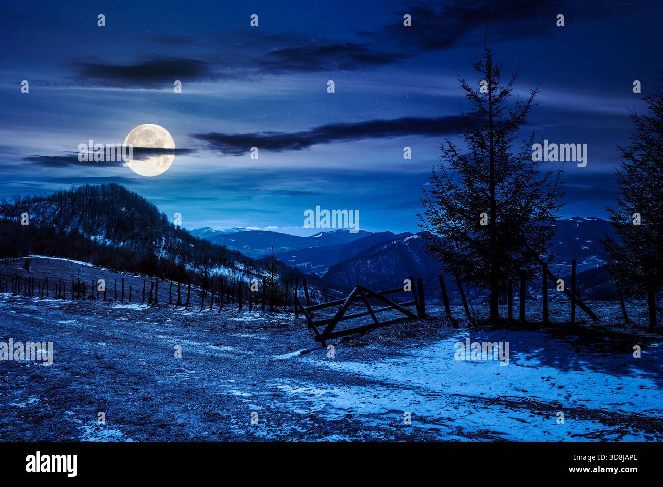 countryside mountain landscape in spring at night. spruce trees near rural fence on meadow with snow in full moon light. snowy tops on distant ridge. Stock Photo