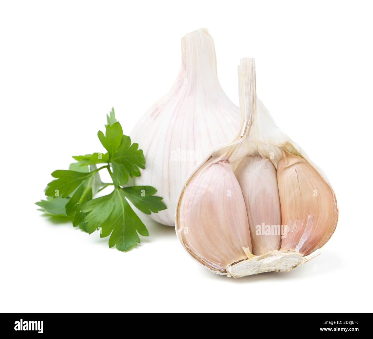 Fresh garlic and parsley isolated on white Stock Photo - Alamy