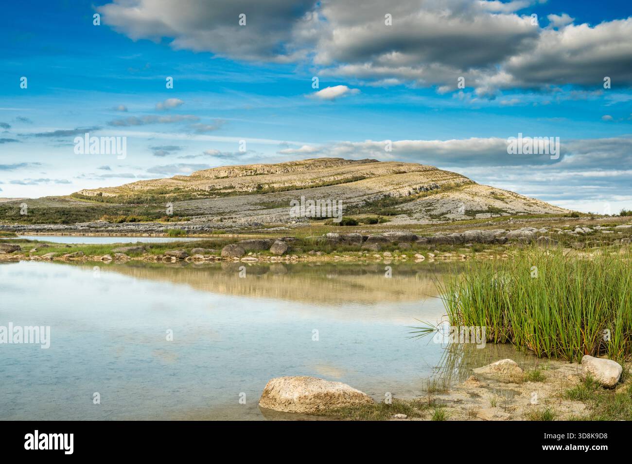 Looking towards Mullaghmore Mountain, from Gortlecka Lake, the Burren, County Clare, with blue sky, cumulus clouds and reflection of mountain in lake Stock Photo