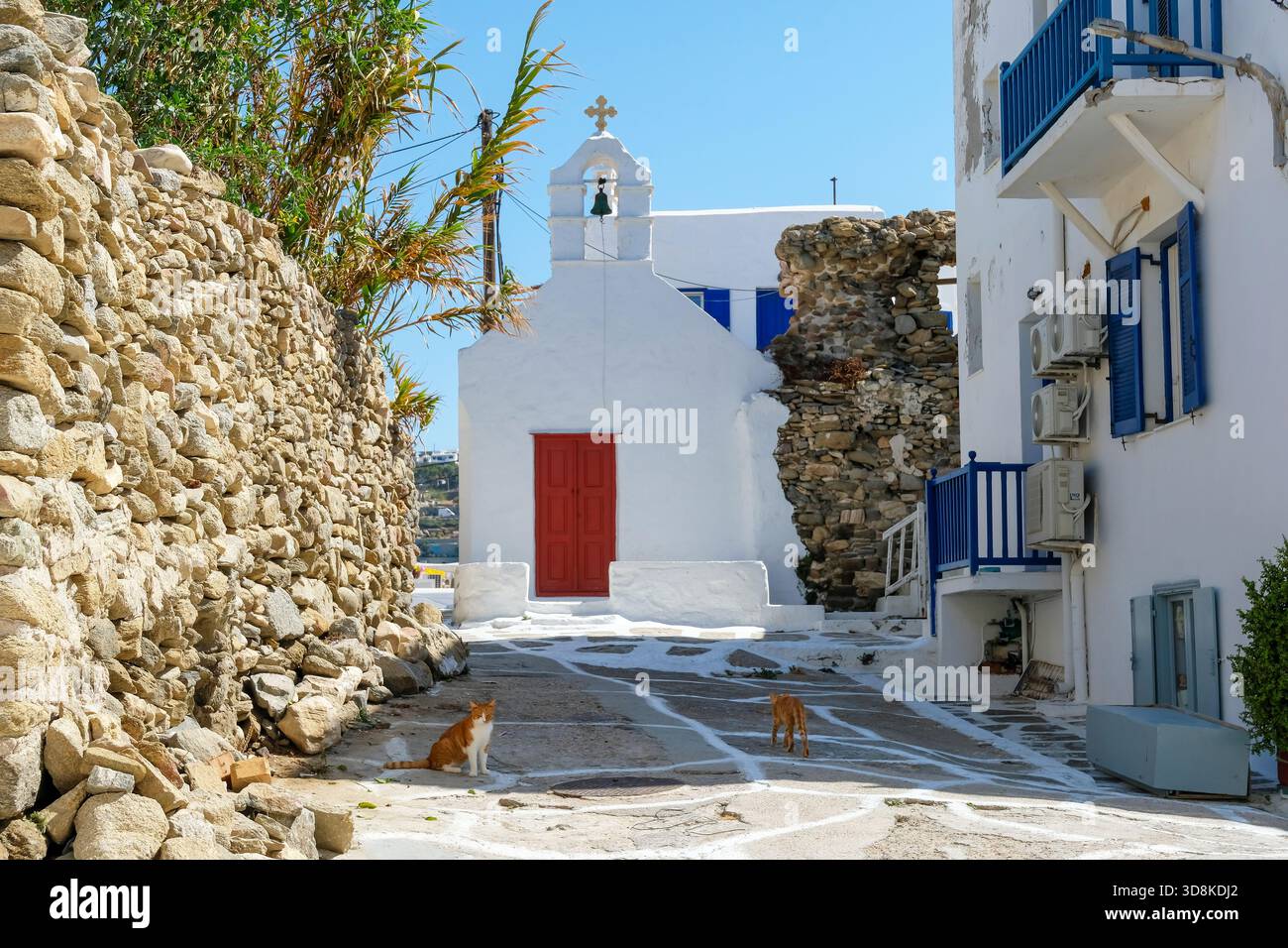 Mykonos, Cyclades, Greece - Cats in the old town alleys in front of a small chapel, church, in Mykonos Town. Mykonos belongs to the Cyclades island gr Stock Photo