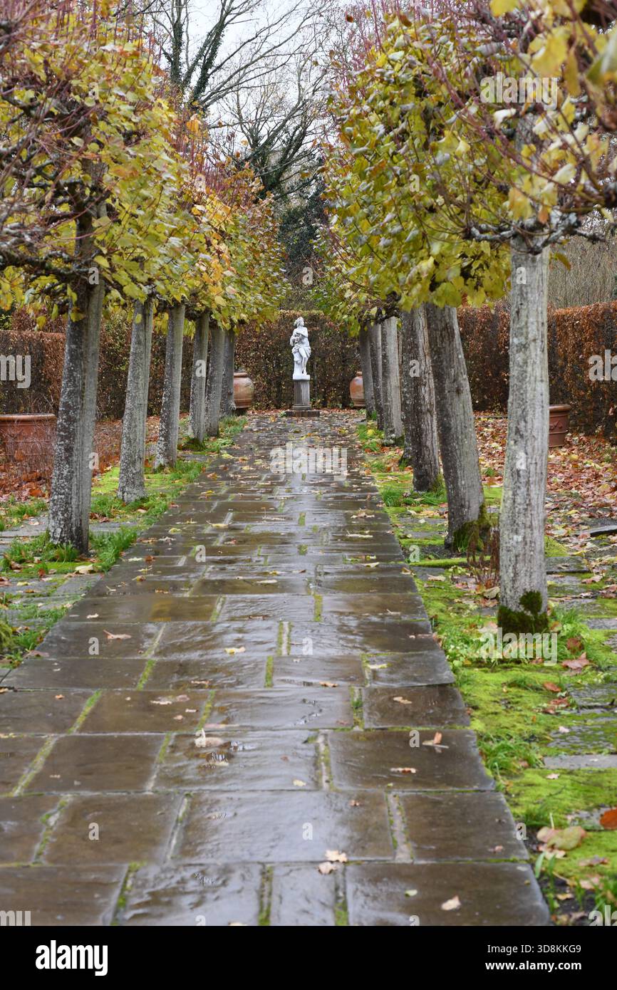 sissinghurst lime walk in november Stock Photo