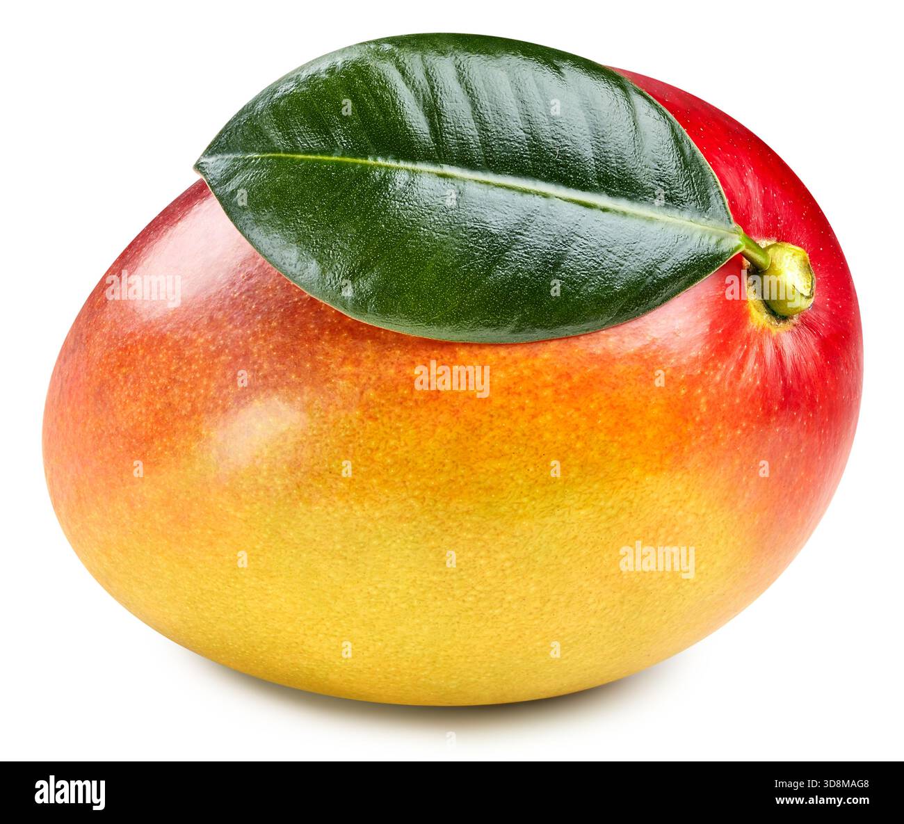 One Mango Clipping Path. Mango isolated on white background Stock Photo