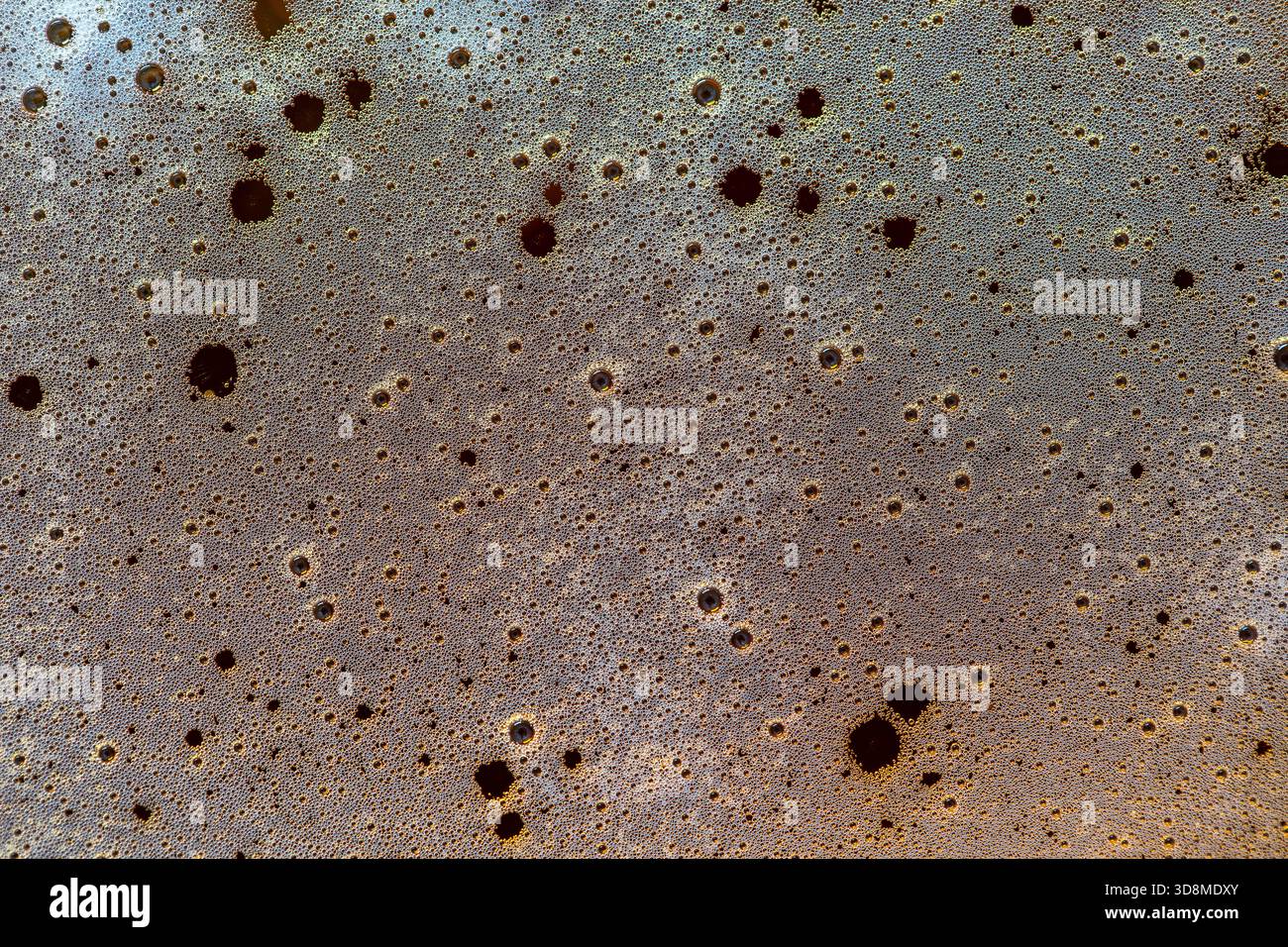 Background of beer foam, top view, close up, macro. Beer foam texture Stock Photo