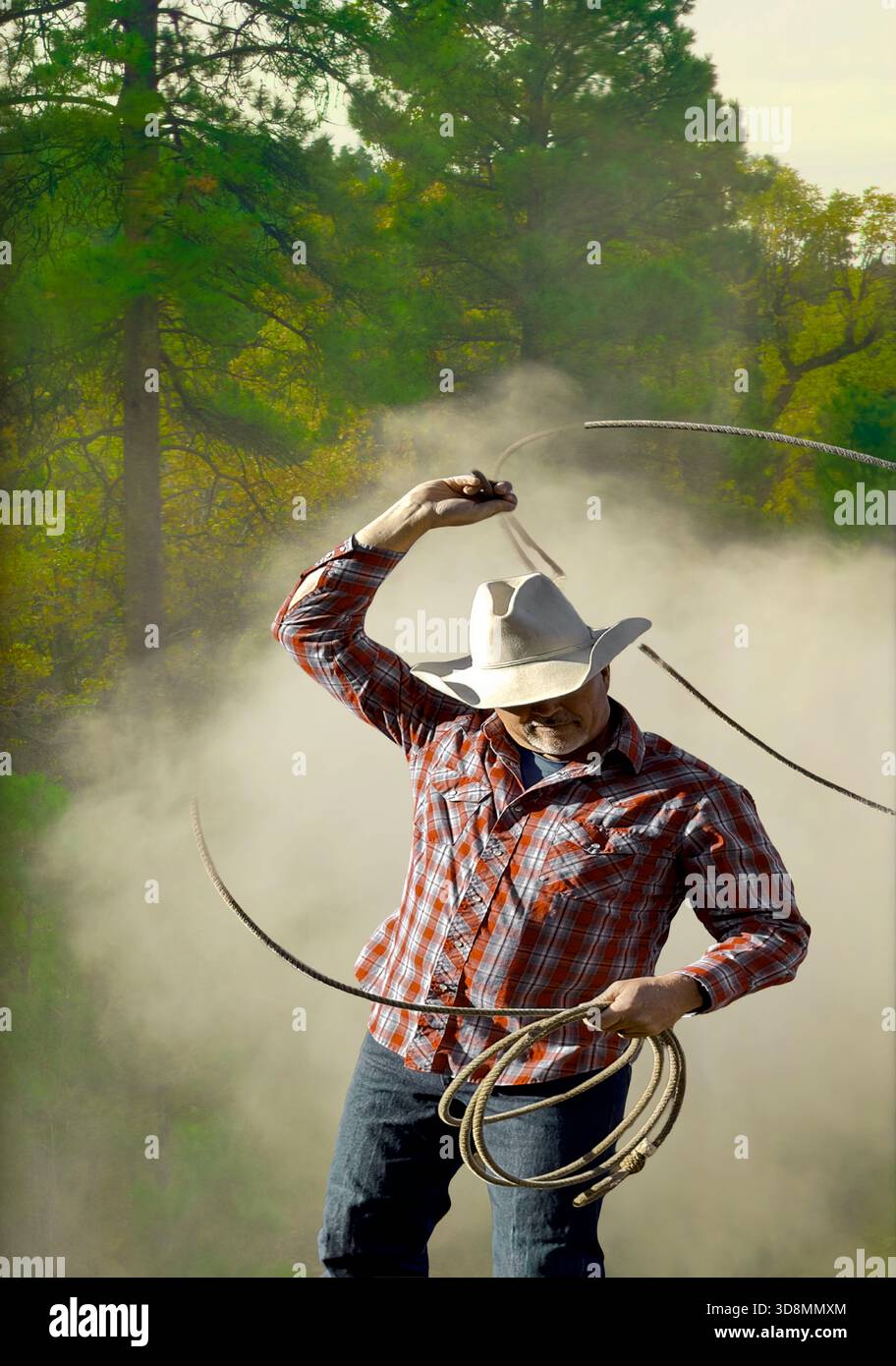 Closeup of male cowboy with hat, lariat, & red plaid shirt swings rope ...