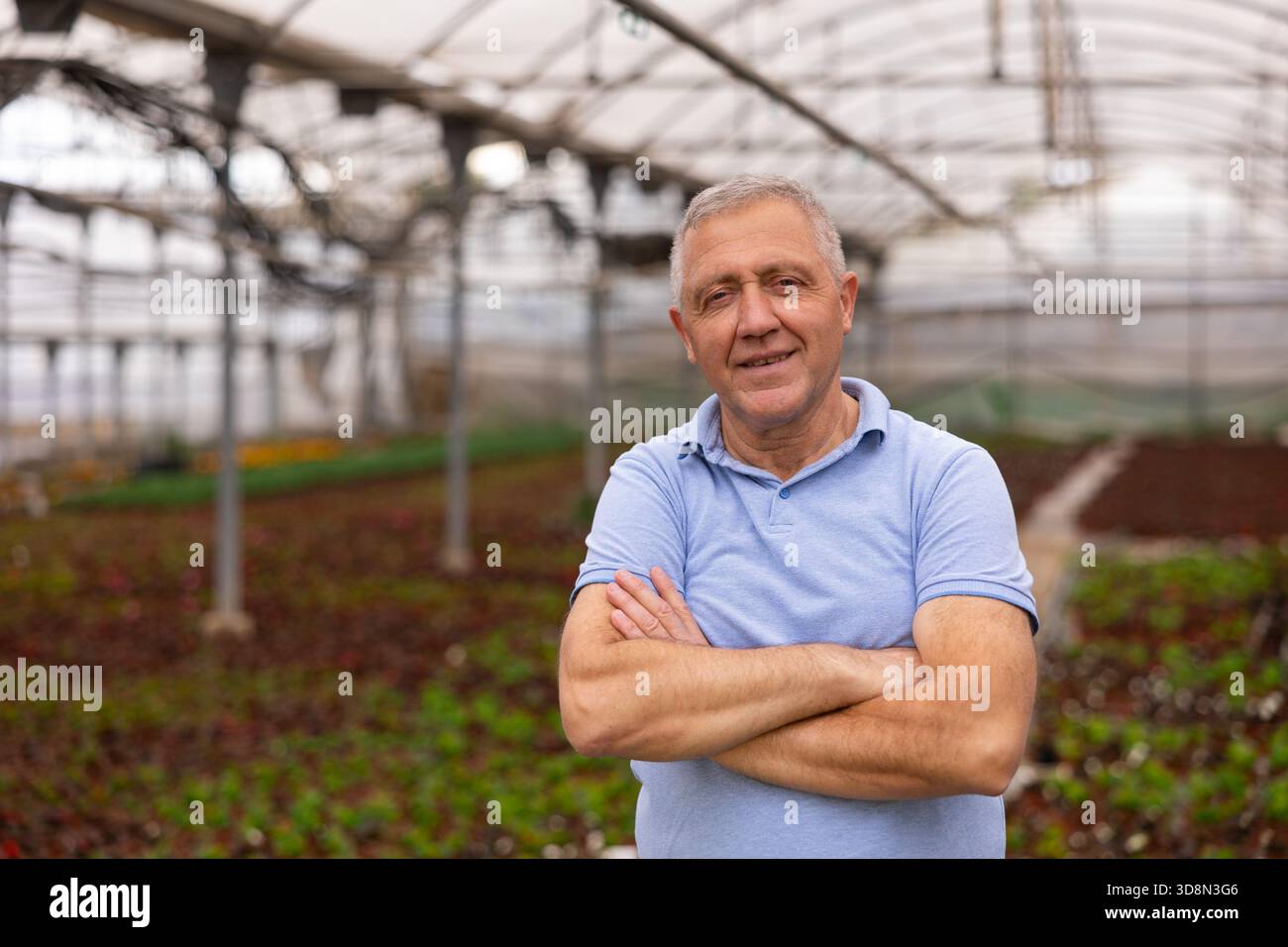 Old man worker posing joyfully in greenhouse Stock Photo