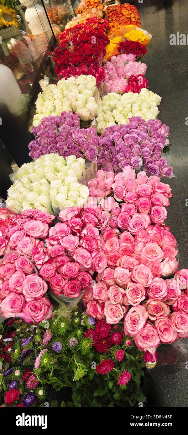 Colorful assortment of fresh roses beautifully arranged in a vibrant floral display, showcasing various shades and textures of petals and greenery. - Smartphone Captured Stock Image