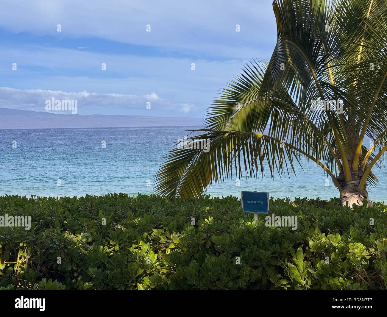 Beach in Maui from a resort - Smartphone Captured Stock Image