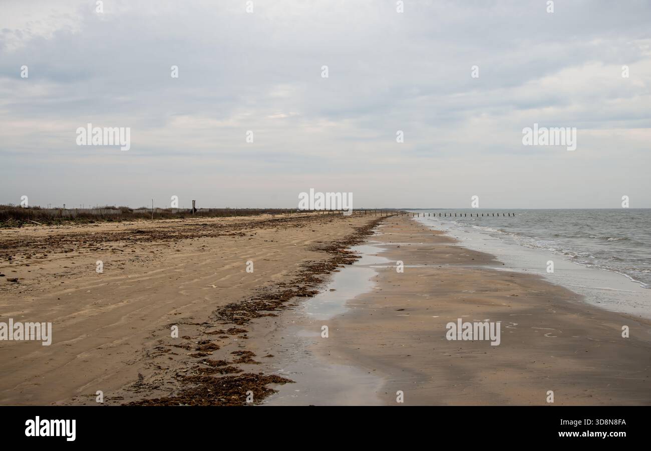 Ocean Rim Sea Rim State Park in Texas Stock Photo - Alamy