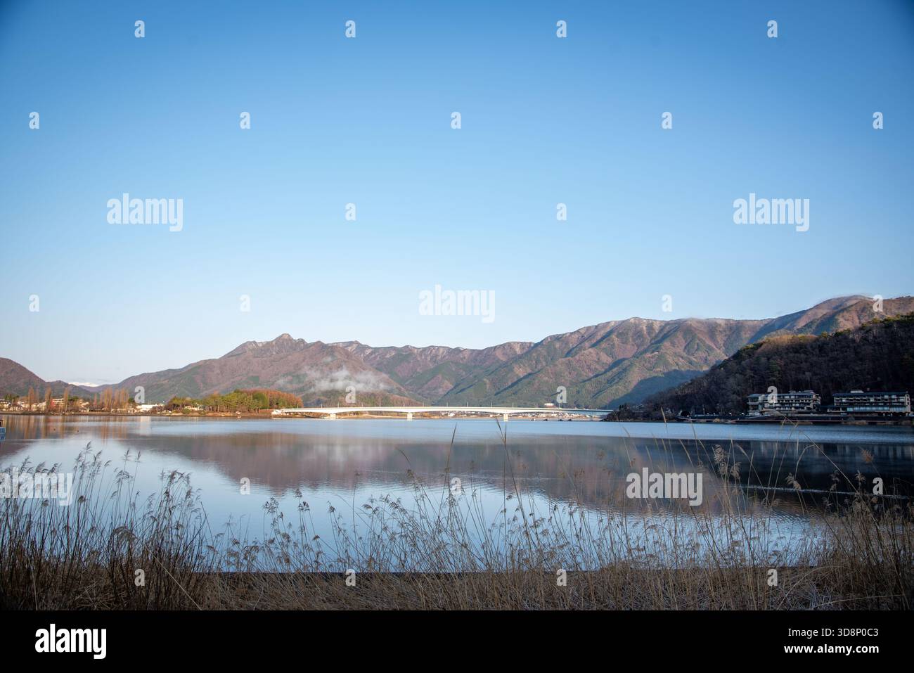 Lakeside reeds japan hi-res stock photography and images - Alamy
