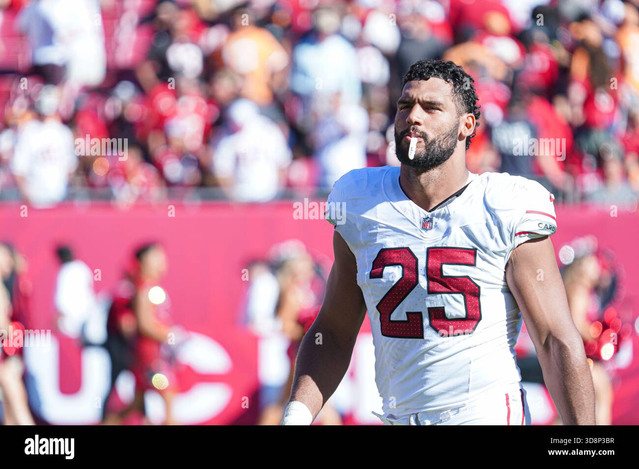 Tampa Bay, Florida, USA, November 30, 2025, Arizona Cardinals player ...