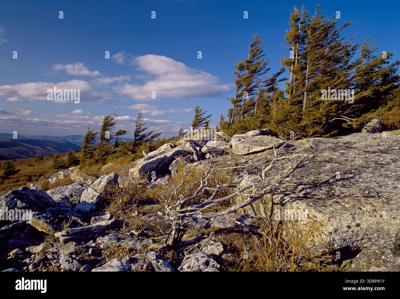 Spruce Knob highest point in West Virginia Stock Photo
