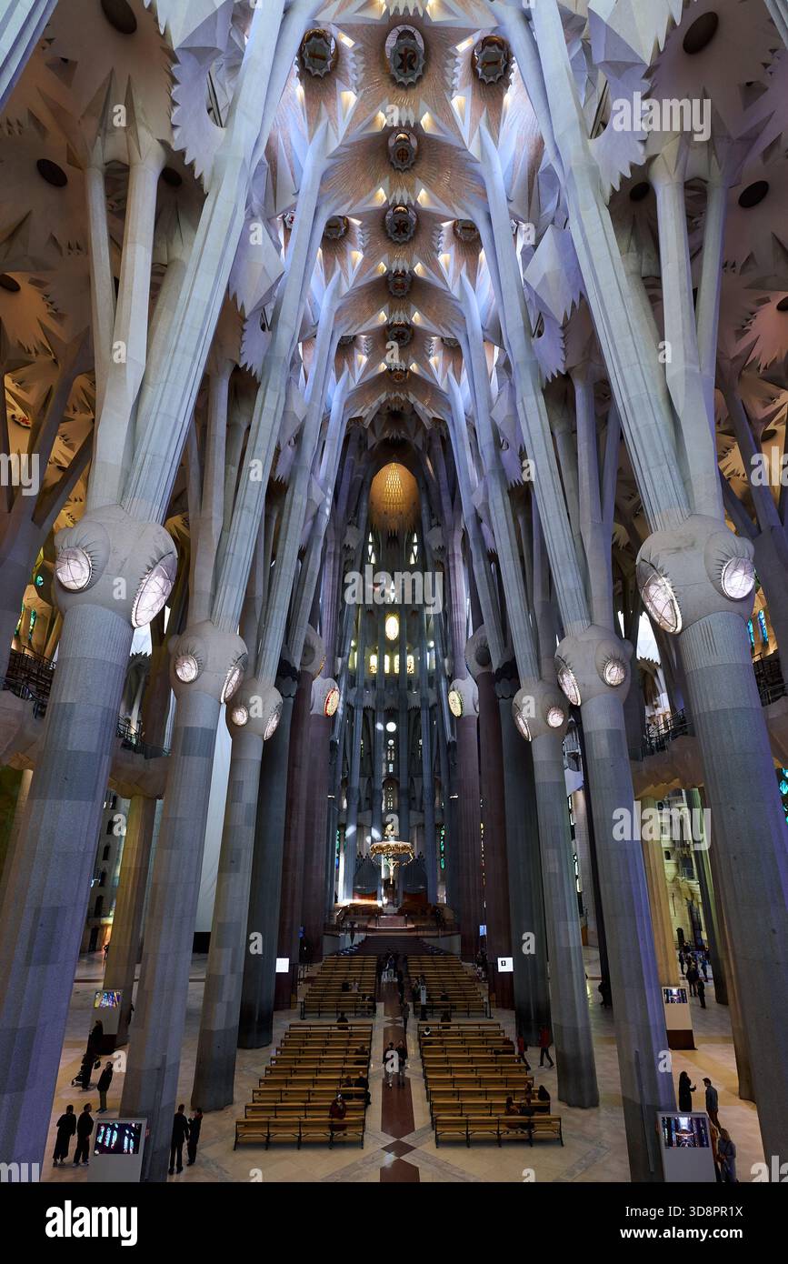 Barcelona. 1st Dec, 2025. This photo taken on Dec. 1, 2025 shows an ...