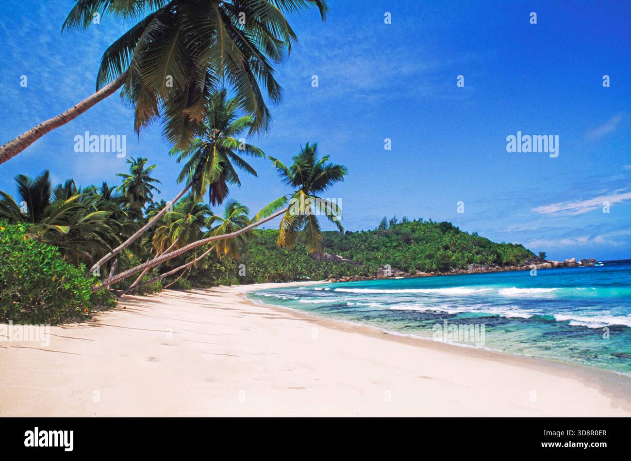 tropical beach, Praslin island, Seychelles Stock Photo