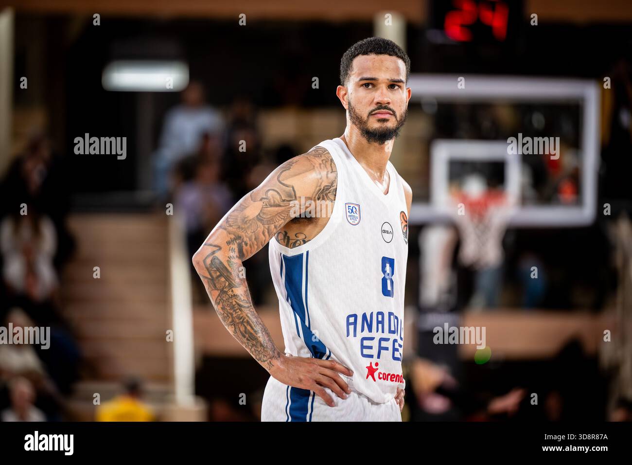 Babb hi-res stock photography and images - Alamy