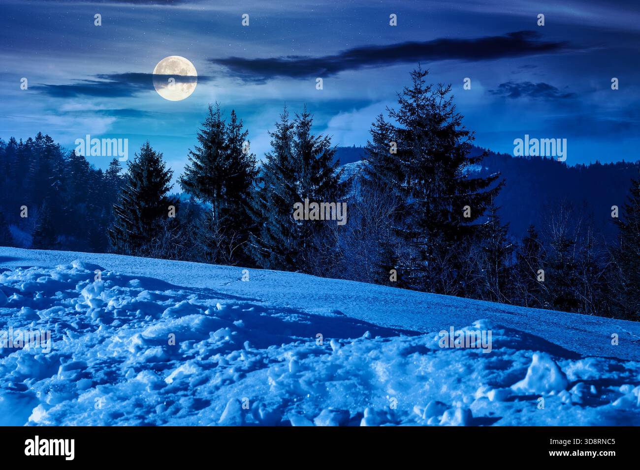 winter landscape in mountains at night. spruce trees on the snow covered hill in full moon light. blue sky with clouds. cold weather for christmas. ba Stock Photo
