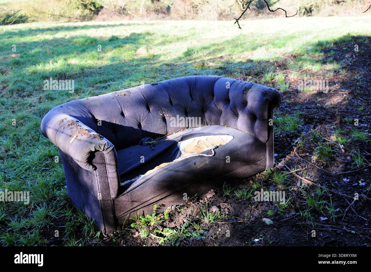 An old sofa dumped in a field. Stock Photo