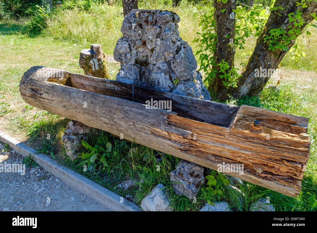 Trough Spring Old wooden water trough and rustic stone spring in a forest meadow ...