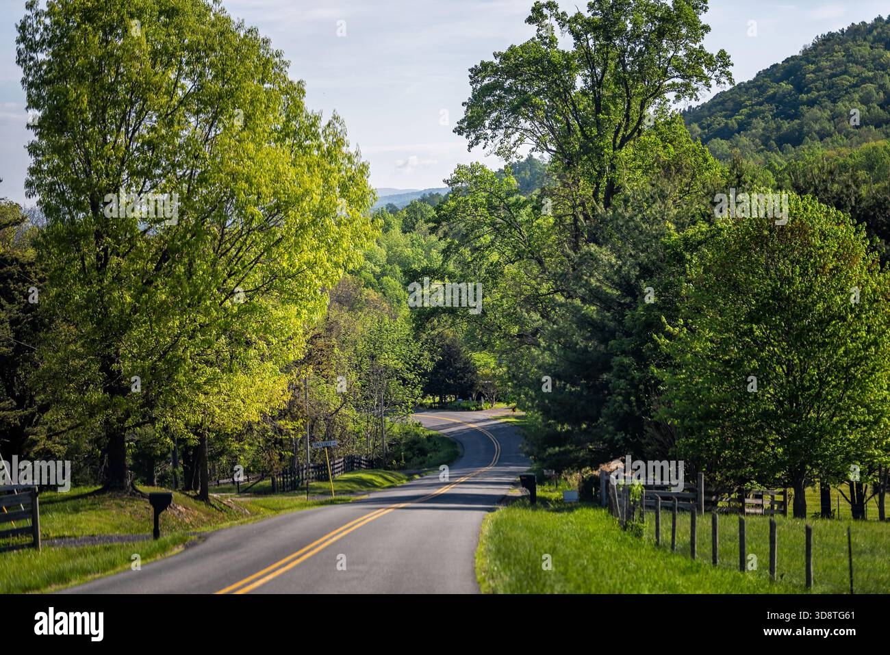 Rural Reeds gap road in Virginia spring season with fence and mountains view with green trees forest woods in country Stock Photo