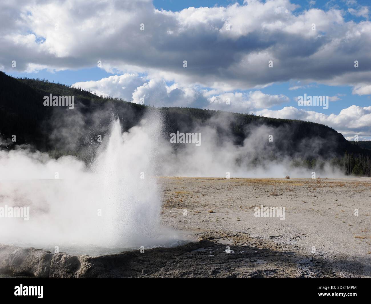 Action shot of a geyser erupting violently with white steam and water ...