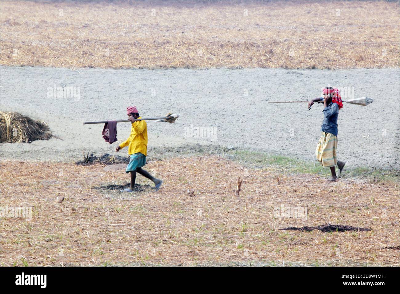 Dhaka, Munshigong, Bangladesh. 2nd Dec, 2025. 2 december 2025 Bangladesh:As winter approaches, farmers across the country have become busy preparing their fields for potato cultivation. They are carefully tilling the soil, burning the leftover straw and mixing the resulting ash into the land''”an age-old method of creating natural fertilizer.In many fields, potato planting has already begun. Farmers are hopeful that by next March the fields will be filled with the golden harvest of fresh potatoes.Last year, in 2024, farmers cultivated potatoes on 35,779 hectares of land. This year, in 2 Stock Photo