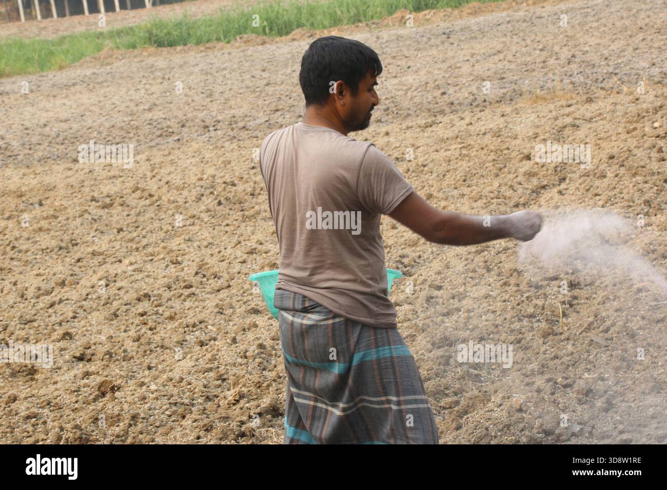 Dhaka, Munshigong, Bangladesh. 2nd Dec, 2025. 2 december 2025 Bangladesh:As winter approaches, farmers across the country have become busy preparing their fields for potato cultivation. They are carefully tilling the soil, burning the leftover straw and mixing the resulting ash into the land''”an age-old method of creating natural fertilizer.In many fields, potato planting has already begun. Farmers are hopeful that by next March the fields will be filled with the golden harvest of fresh potatoes.Last year, in 2024, farmers cultivated potatoes on 35,779 hectares of land. This year, in 2 Stock Photo